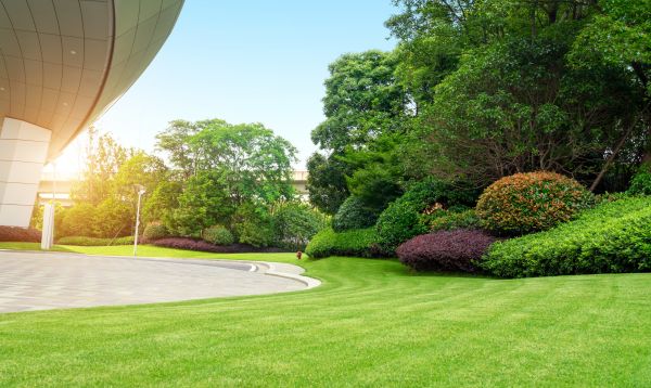 Cost of Commercial Lawn Mowing in Lynnwood