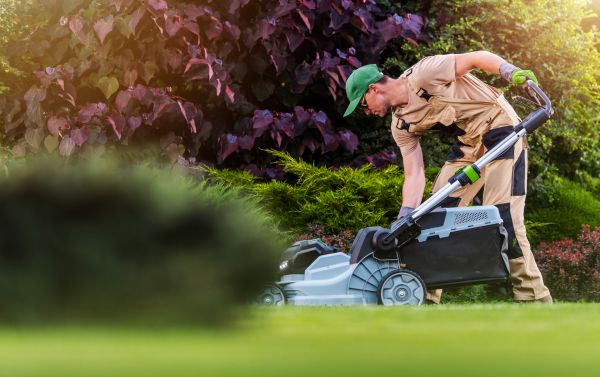 Lawn Care And Maintenance in Lynnwood