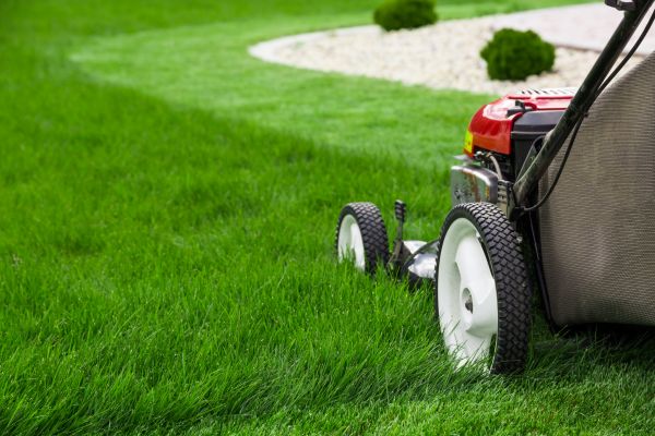 Mowing Service in Lynnwood