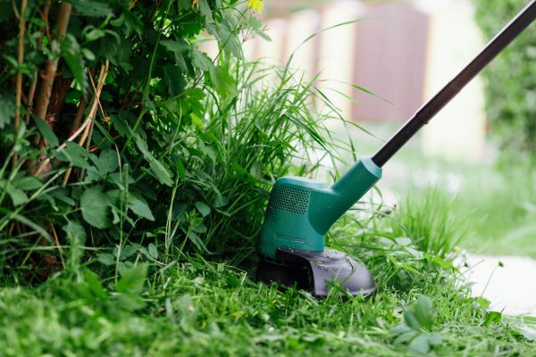 Weed Whacking in Lynnwood