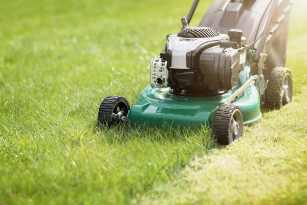 Cost of Yard Cutting in Lynnwood