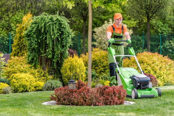 Cost of Yard Service in Lynnwood