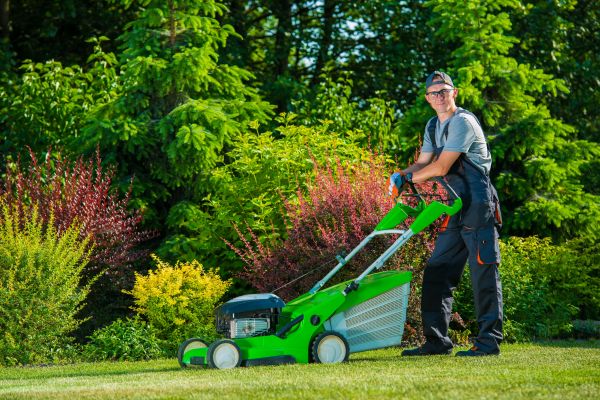 Cost of Yard Work Service in Lynnwood