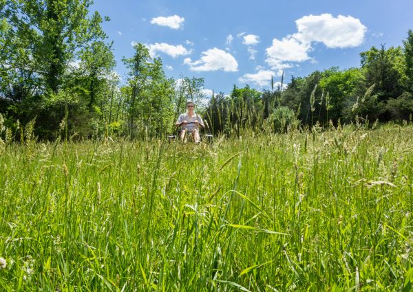 Long Grass Mowing in Lynnwood