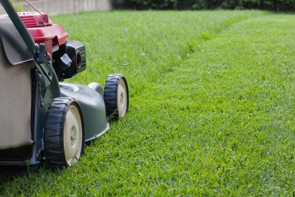 Cost of Summer Lawn Care in Lynnwood