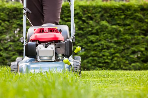 Grass Trimming Service in Lynnwood