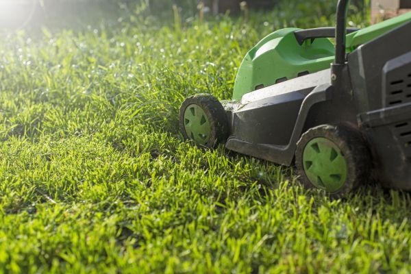 Cost of Lot Mowing in Lynnwood