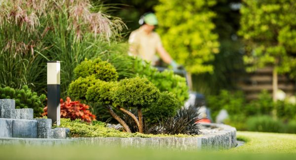 Residential Yard Maintenance in Lynnwood