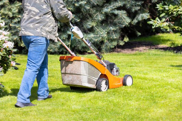Springtime Lawn Care in Lynnwood