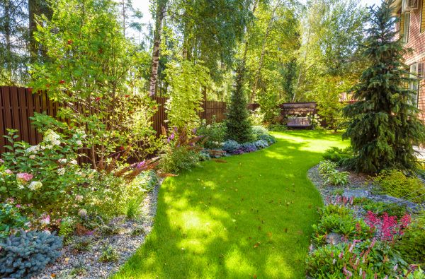 Spring Yard Maintenance in Lynnwood