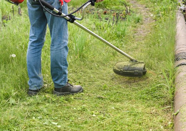 Cost of Tall Grass Trimming in Lynnwood