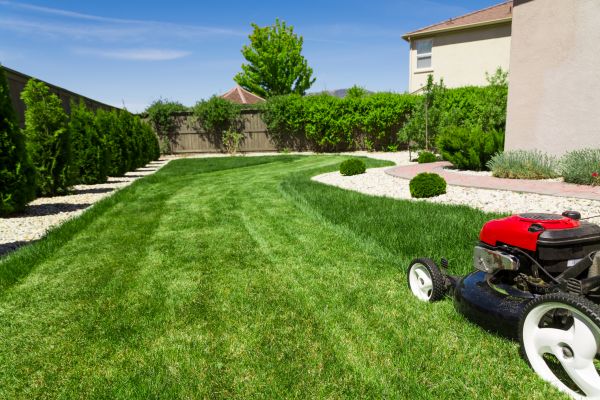 Residential Lawn Mowing in Lynnwood