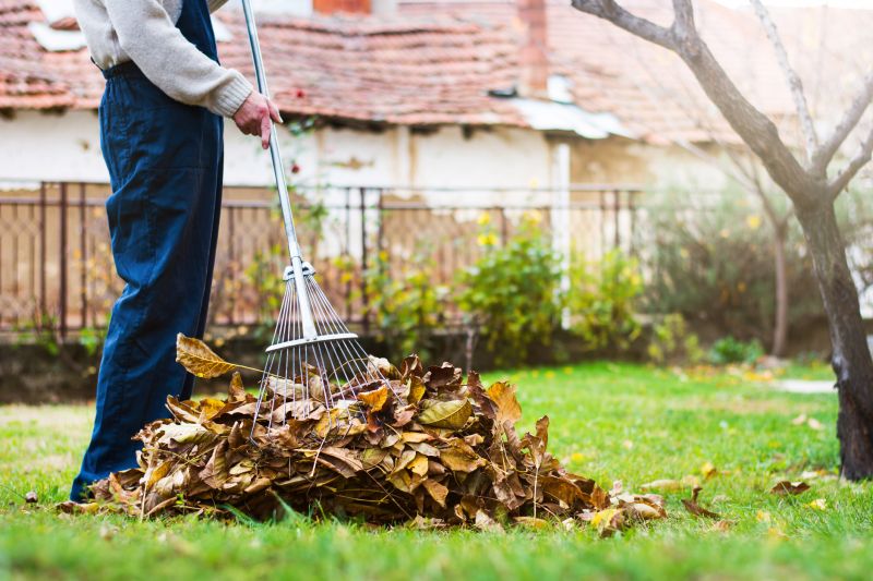 Leaves Being Raked
