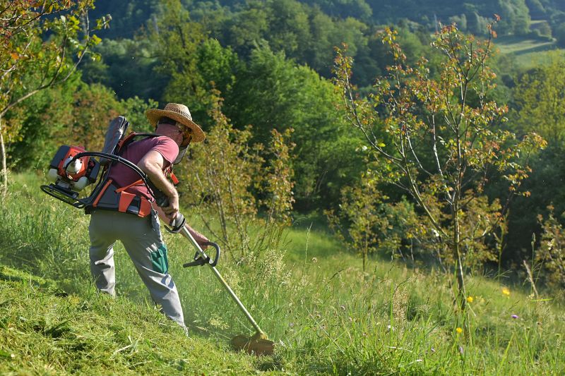 Hillside Mowing