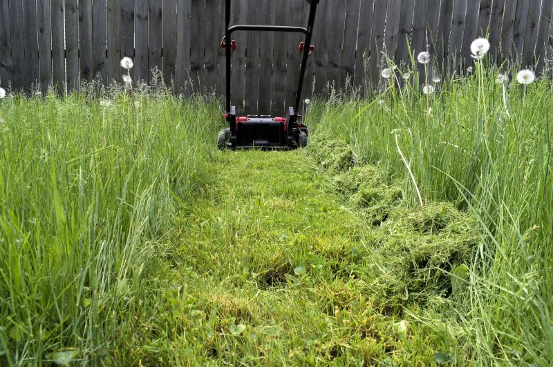 Summer Mowing