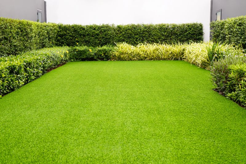 Benefits of Regular Lawn Maintenance