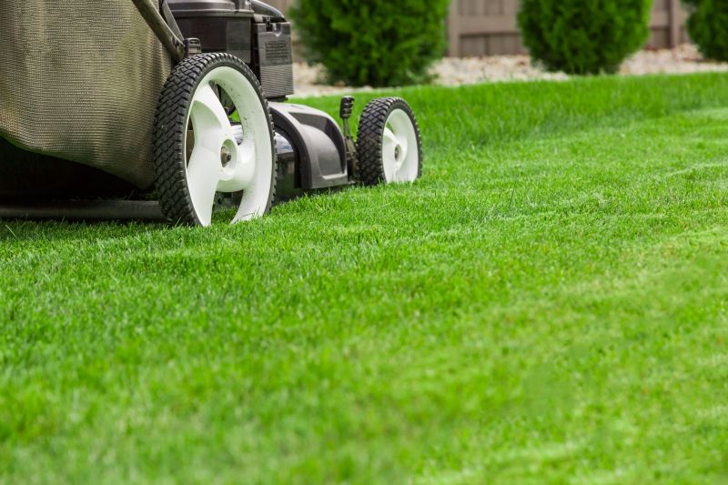 Planning Your Lawn Care Schedule